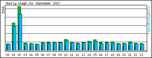 Hourly usage